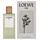 Loewe Aire Eau de Toilette 100 ml