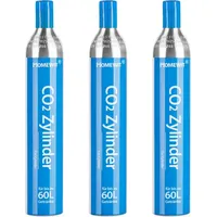 Homewit 3 x CO2-Zylinder, Kohlensäure Zylinder Kohlendioxid Zylinder 425g Kohlensäure für ca. 60 L Wasser, Neu & Erstbefüllt in Deutschland gee... - Silber