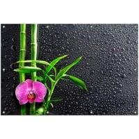 Wallario Sichtschutzzaunmatten Bambus und pinke Orchidee auf schwarzem Glas mit Regentropfen schwarz 100 cm x 150 cm