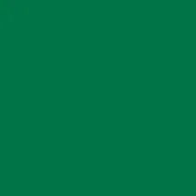 plottiX Permanente Vinylfolie 31,5cm x 1m