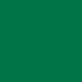 plottiX Permanente Vinylfolie 31,5cm x 1m