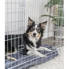 Trixie Transportkäfig verzinkt Größe 6