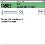 Reyher Flachkopfschraube ISO 14583 ISR M2x10 4.8 galv.verz. 2000St.