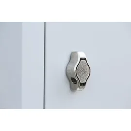 Lüllmann Spind lichtgrau 521220, 4 Schließfächer 60,0 x 50,0 x 195,0 cm