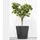 Ecopots Amsterdam Ø 80 x 75 cm Dunkelgrau