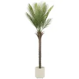 ML-Design Künstliche Palme 180 cm Groß im Topf, für Indoor/Outdoor