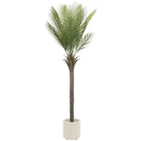 ML-Design Künstliche Palme 180 cm Groß im Topf, für Indoor/Outdoor