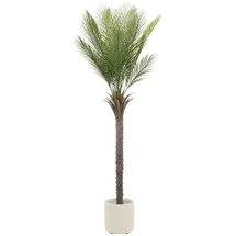 ML-Design Künstliche Palme 180 cm Groß im Topf, für Indoor/Outdoor