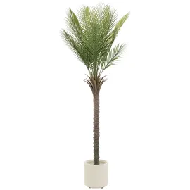 ML-Design Künstliche Palme 180 cm Groß im Topf, für Indoor/Outdoor