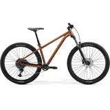 Merida BIG.TRAIL 400 2025 29 Zoll RH 58 cm braun-bronze