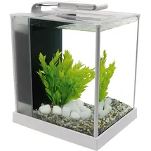 Fluval Spec 3 Nano Aquarium 10,0 l Zubehör weiß