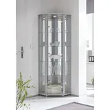 fif möbel Eckvitrine TRIO Höhe ca. 172 cm, ink. Beleuchtung Eckvitrine/Glasvitrine 1x Glastür, perfekt für Sammler, Sammlervitrine silberfarben
