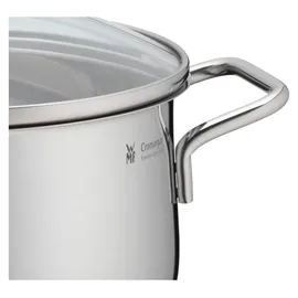 WMF Diadem Plus Fleischtopf 20 cm