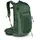 Osprey Talon 22 l grün