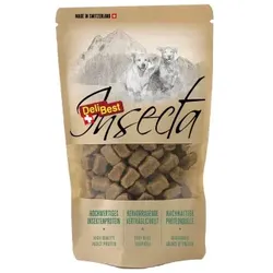 DeliBest Insecta Snacks 100g