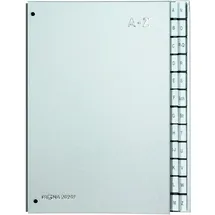 Pagna Pultordner DIN A4 26,5 cm Silber 24 St.