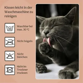 Rosewood Catwalk Katzenbett 2-in-1, Heizkörperliege und freistehend, Plüschbezug, waschbar, 46x32x42cm - Gelb