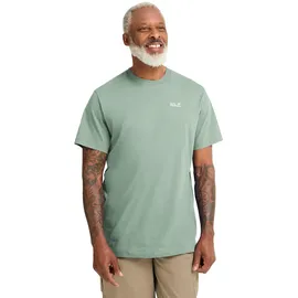 Jack Wolfskin Essential T grün M