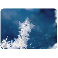 4 Platzsets mit Unterseite aus Kork, Grashalm, Frostbedeckung, Schneeflocke, Winter, groß, 39,5 x 28,5 cm