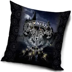 Kissen Kuschelkissen Dekokissen Harry Potter 40 x 40 cm