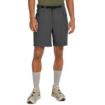 Icebreaker Merino Elevation Stretch Shorts Grau 34