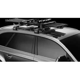 Thule SnowPack 7324