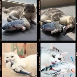 Selva Katzenspielzeug Magic Fish