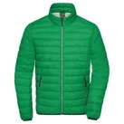 Herren Daunenjacke JN1140, farn-grün/silber, Größe XL - grün - XL