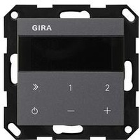Gira 232028 IP System 55 anthrazit