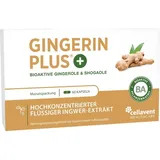 Cellavent Healthcare Gingerin Plus Kapseln