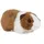 Living Nature Meerschweinchen 18 cm Braun/Weiß