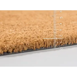 Astra 40 x 60 cm Braun