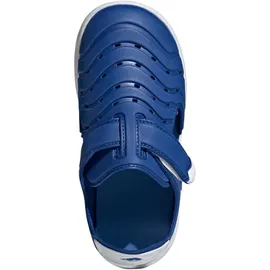 adidas Water Sandal 2 Team Royal Blue/Weiß 28