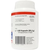 Kurkuma 95% Extrakt 100 Curcumin Kapseln entspricht 20.000mg Curcuma Pulver