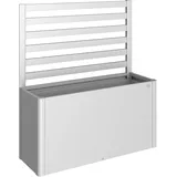 Biohort Rankgitter (1 Stk) für Hochbeet silber-metallic