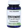 Gerstengras 250 mg GPH Kapseln