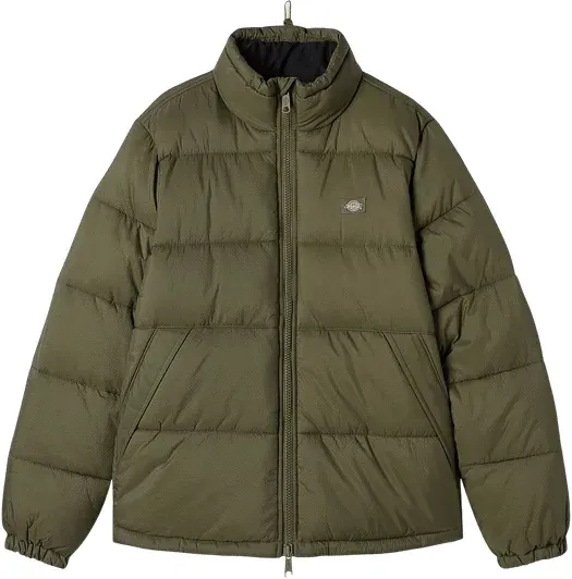 Dickie Waldenburg Puffer Jacke Grün