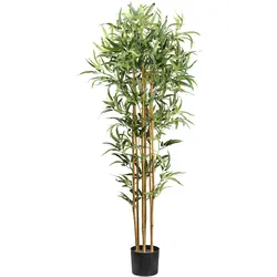 CREATIV green künstliche Pflanze Bambus, ca 155cm