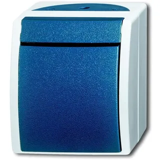 Busch-Jaeger Taster 2621 W-53