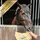 lyra horse Senior Mineralfutter 10 kg