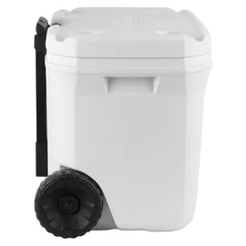Coleman Marine Xtreme 47 l
