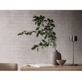 BLOMUS Mobile FAROL Burned Metal