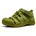 Newport Goldene Zypresse 29