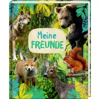Coppenrath verlag gmbh&co. kg Die Spiegelburg - Freundebuch Meine