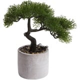 Botanic-Haus Kunstbonsai »Ceder Bonsai«, grün