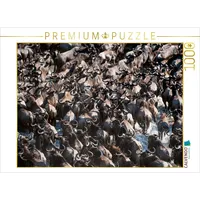 Calvendo Ein Motiv aus dem Kalender Emotionale Momente: Die