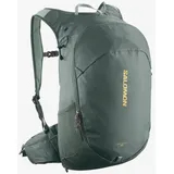 Salomon TRAILBLAZER 20 Urban Chic/GREEN MILIEU Urban Chic / GREEN MILIEU