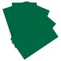 Folia Fotokarton 220 g/m2 A4 100 Blatt