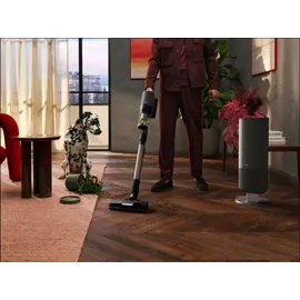 AEG Ultimate 8000 Akku-Staubsauger inkl. Absaugstatioin AP83A25XNX