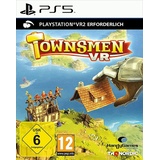 Townsmen VR (PlayStation VR2)